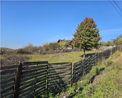 Teren intravilan de vanzare in Barnova 500 mp deschidere 19.16 m